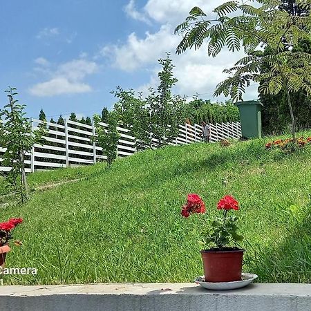 Fruskogorska Idila Apartmani Rednek Kültér fotó