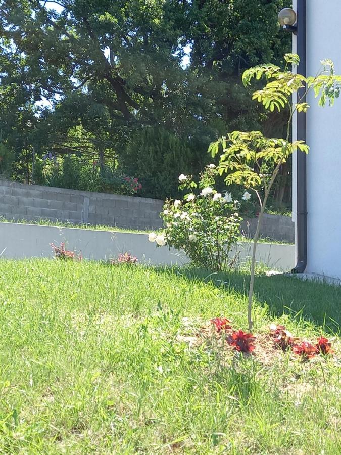 Fruskogorska Idila Apartmani Rednek Kültér fotó